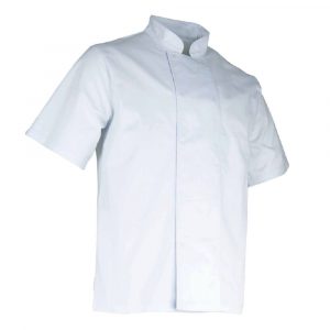 Veste de cuisine manches courtes LMA AUBERGINE