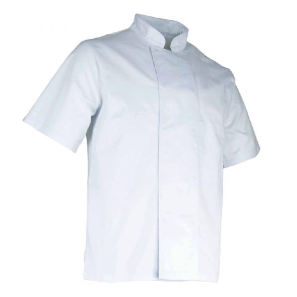 Veste de cuisine manches courtes LMA AUBERGINE