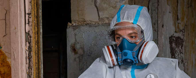 demi masques et quarts de masques (réutilisables, nécessitent des filtres)